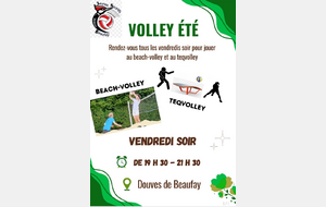 TEQvolley, volley sur herbe