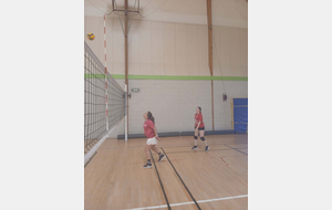 6a2dba51a60ac_1000035379.jpg