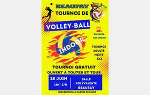 Fête du Volley