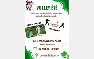 Beach volley et teqvolley aux douves