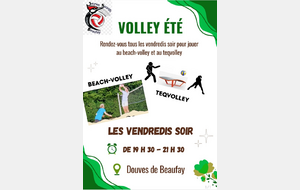 Beach volley et teqvolley aux douves