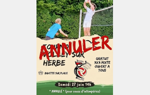 Tournoi volley sur herbe