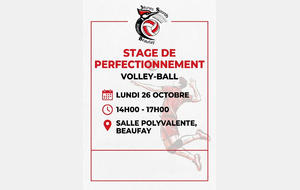 Stage perfectionnement