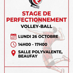 Stage perfectionnement